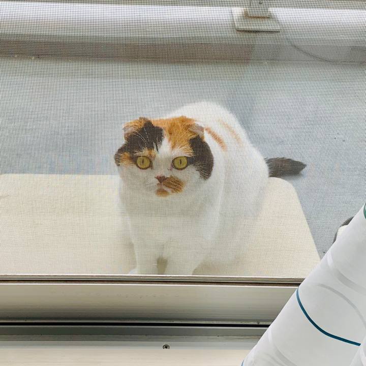 B43c5680 138c 4db3 8031 a3dbee5b1690 1563239890416