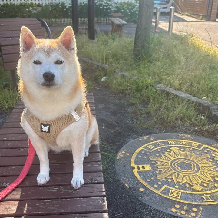 B43c5be7 7f8f 4c95 9c02 d44da7f706c0 1746218118504