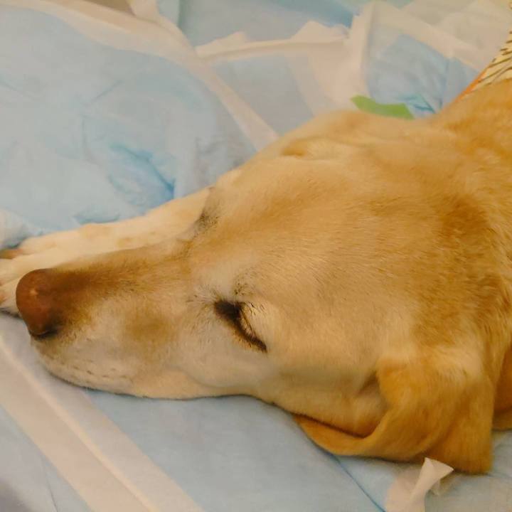 B43c7f76 4bb7 42ed 9201 3acf665727da 1683074049655