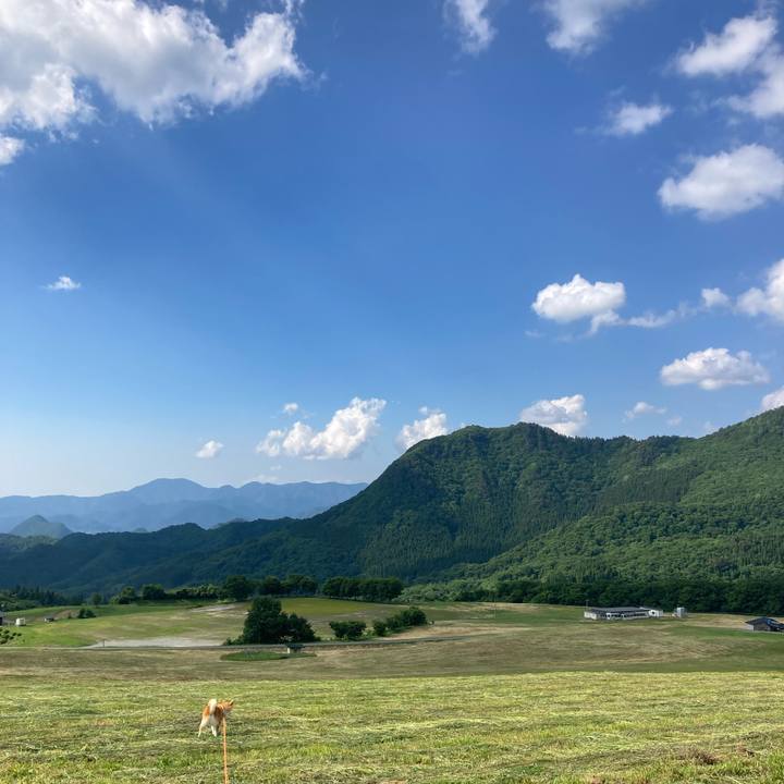 B43c943b 1e86 4f78 bf81 2664cddbe460 1718088326048