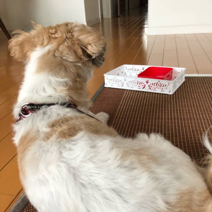 B43d05f0 ed97 49ae b77d 9187c01c7ea0 1594331475774