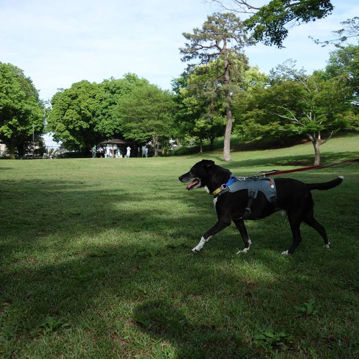 B43d2898 4a7d 49e3 b095 bc46b48d0fbd 1746927246941