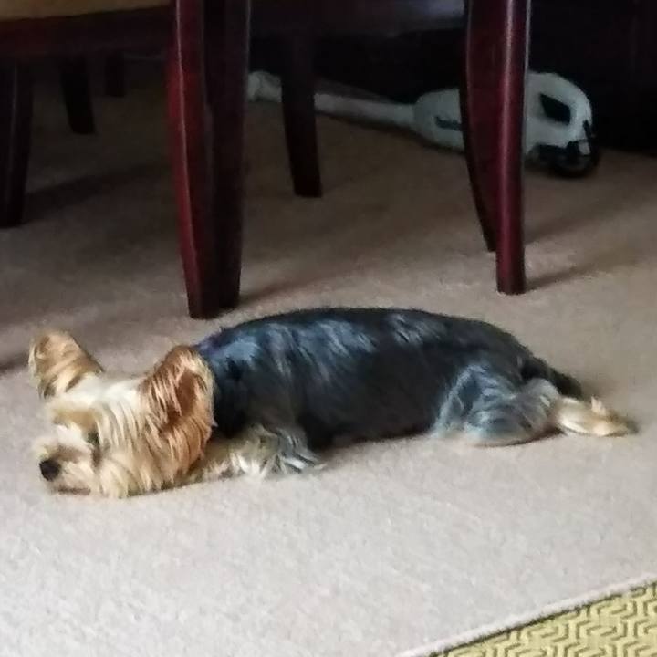 B43d3105 27de 4a72 a84e 8edb9dd08cbf 1660652545068