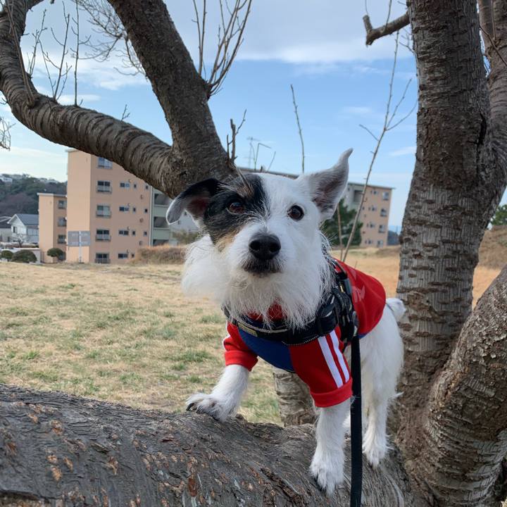 B43d512e dc4c 4695 b2be c29d6e413e42 1740701804562