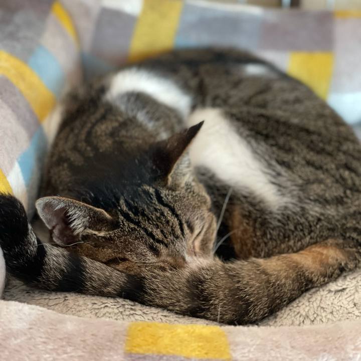 B43d6bbf f652 40ea 977c 9ada8597ae86 1626140419400