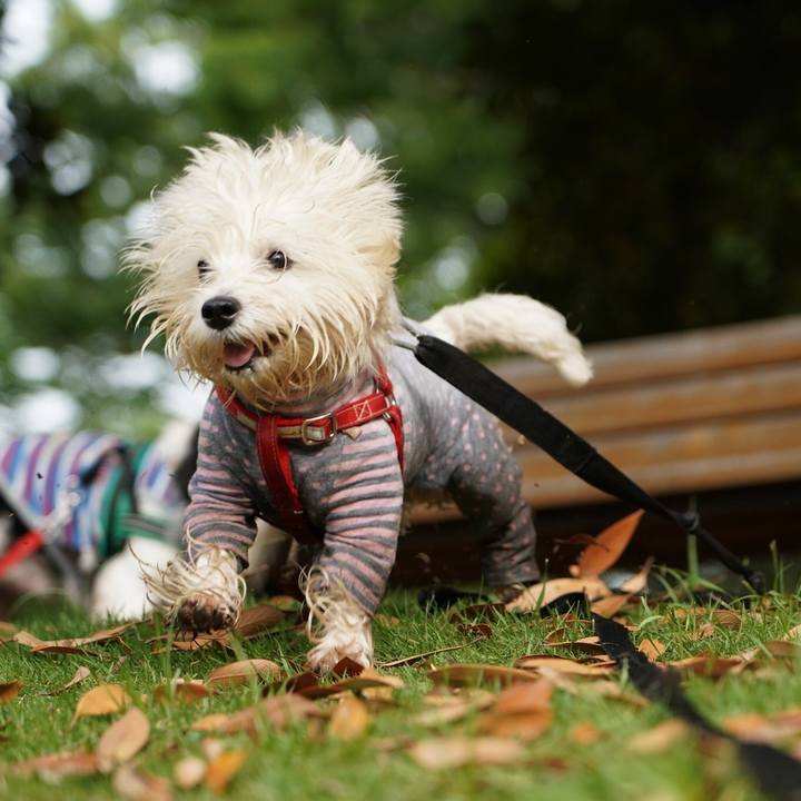 B43d7399 258e 43e4 bcd8 2a8119e956d2 1527331827234