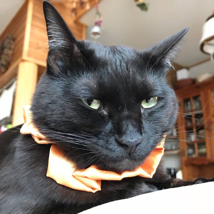 B43d9989 f10d 49ba 9ef8 b5080abc14d8 1625084699329