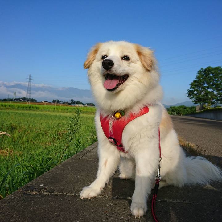 B43dcb6d bd60 46f1 9a50 be442e8c3a8f 1533245237288