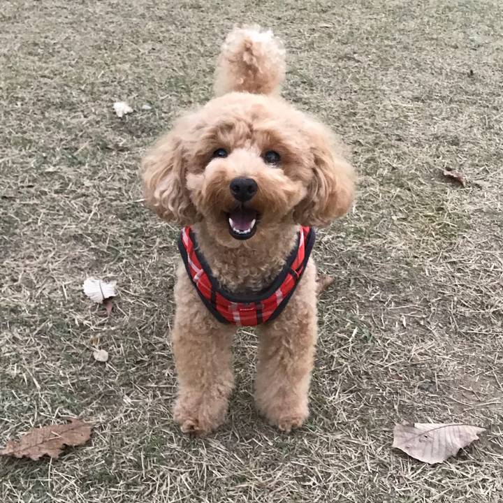 B43de639 5faf 4caa acec 6135f27d6b37 1543313599352