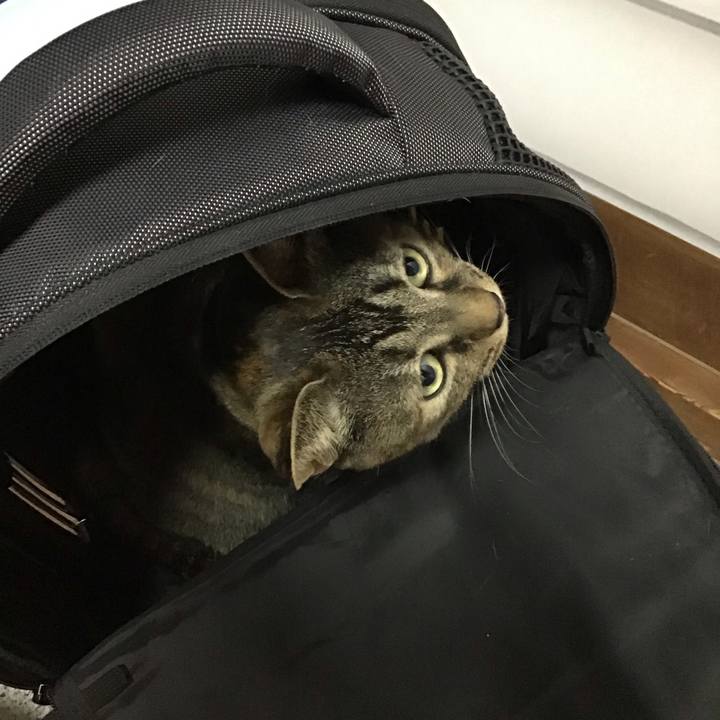 B43e0327 ea09 41ac b344 e9ca96296922 1711715748759