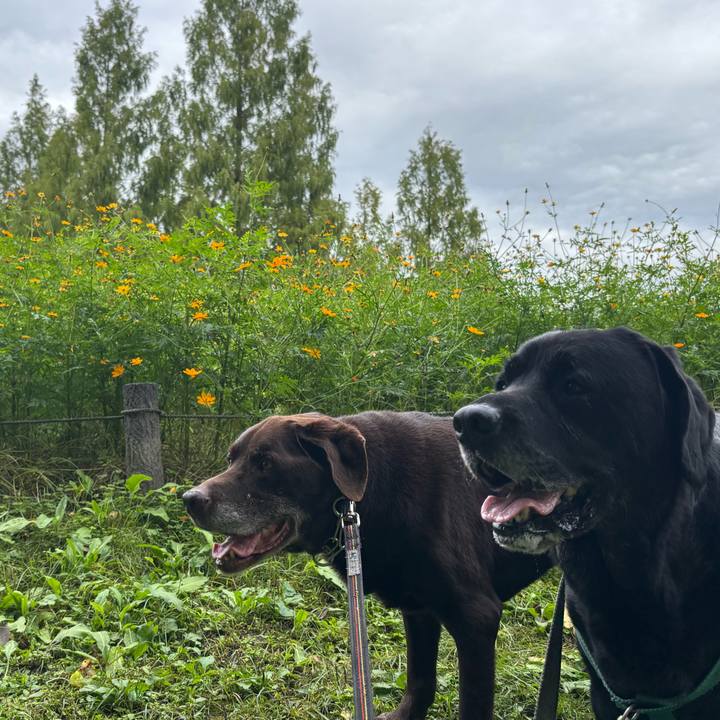 B43e0a40 609e 4428 9a61 c02a1ada440e 1760964238330