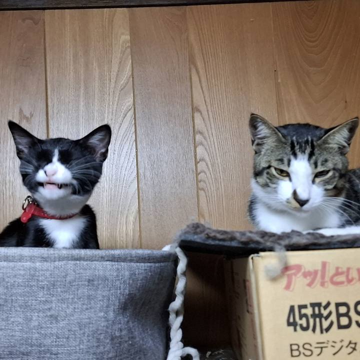 B43e411b 7eb0 44d9 ad10 a0bc0f93598a 1755755348795