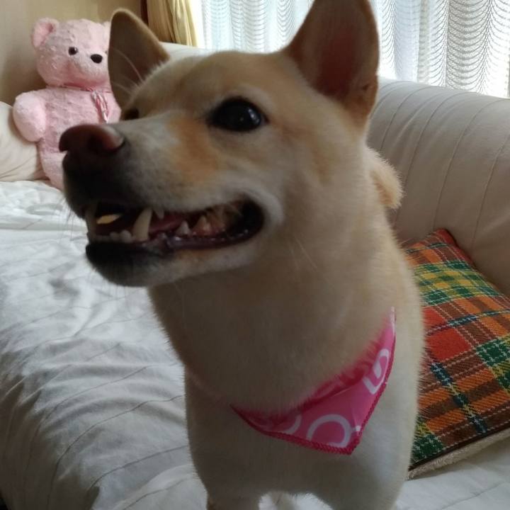 B43eab59 e910 4366 9c70 68b3bade2b67 1539493829680