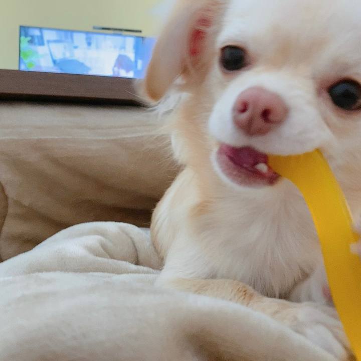 B43ebf57 073f 4db9 b387 7d51cf3d9599 1612258929370