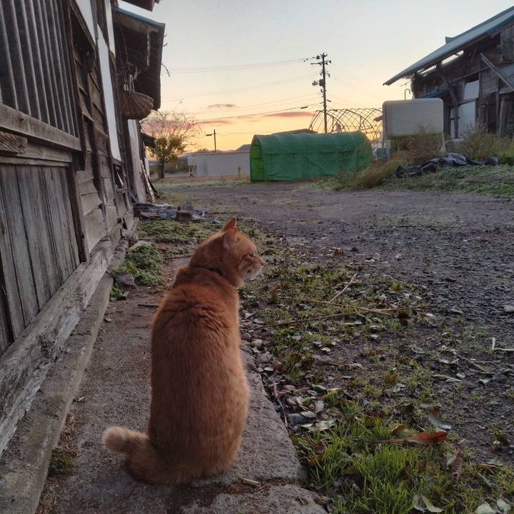 B43ee4d0 6a1b 4792 abbc 288e3d2a2fb3 1667685142169