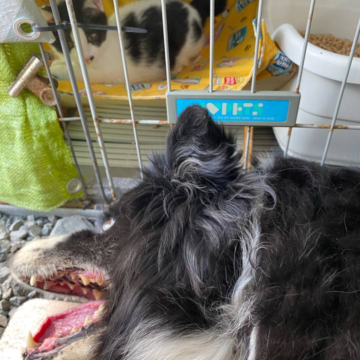 B43ee86a 0a2b 4589 a41a a5b62d7d234d 1656547208959