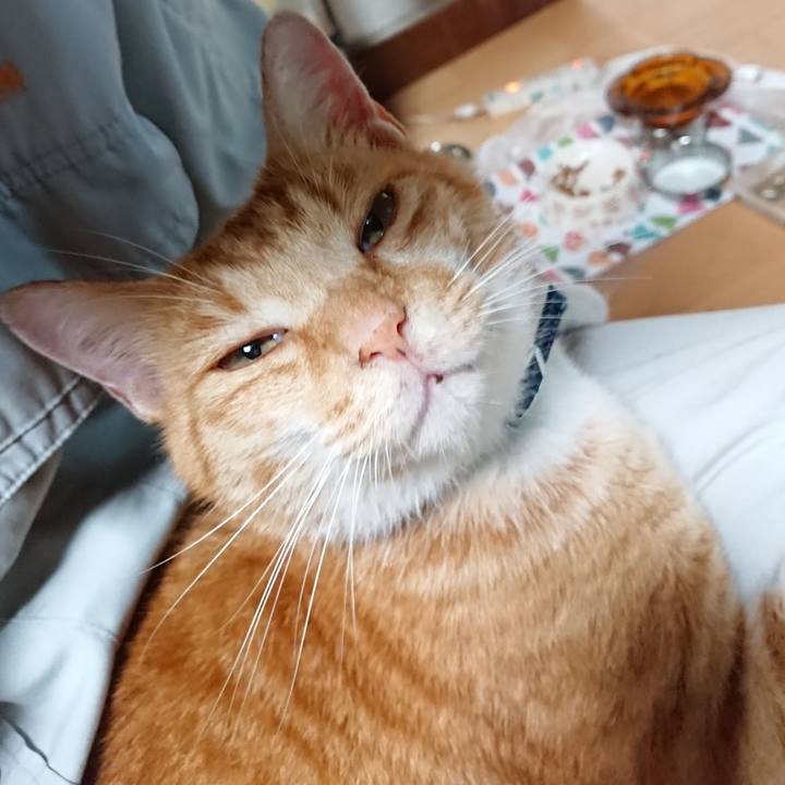 B43f239f 063a 4d82 b777 4356cd78468b 1597700801339