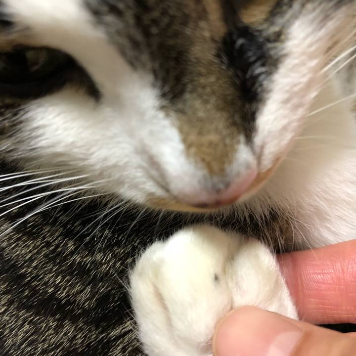 B43f645a 6a92 4e95 9422 4b05b2988175 1518638121869