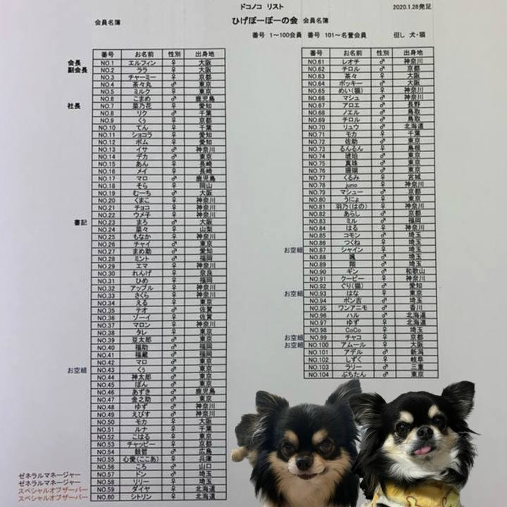 B43f809e 2c1f 44cc ab20 d10863d8ca7d 1674907813111