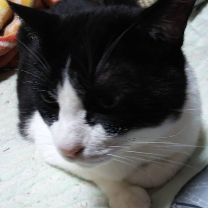 B43fa059 f567 4a35 b3b0 e7d0c8acbce5 1563486563353