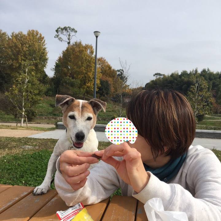 B43fce59 8613 4146 97e7 a5dc89d846c7 1574567879025