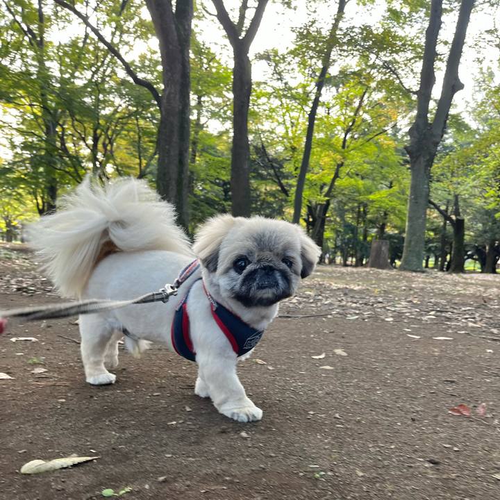 B44012ea 3fc6 429c a256 b6512ee8e997 1731033483550