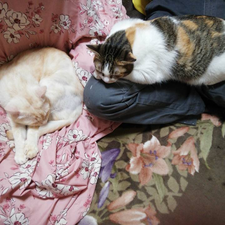 B440388e 5800 4bc7 a38e 87d029766f58 1640211089336