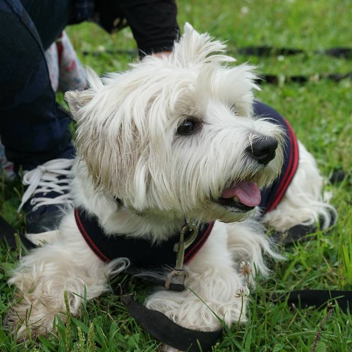 B440830e 0ee9 482e 980e d091f4cdf274 1530229068691