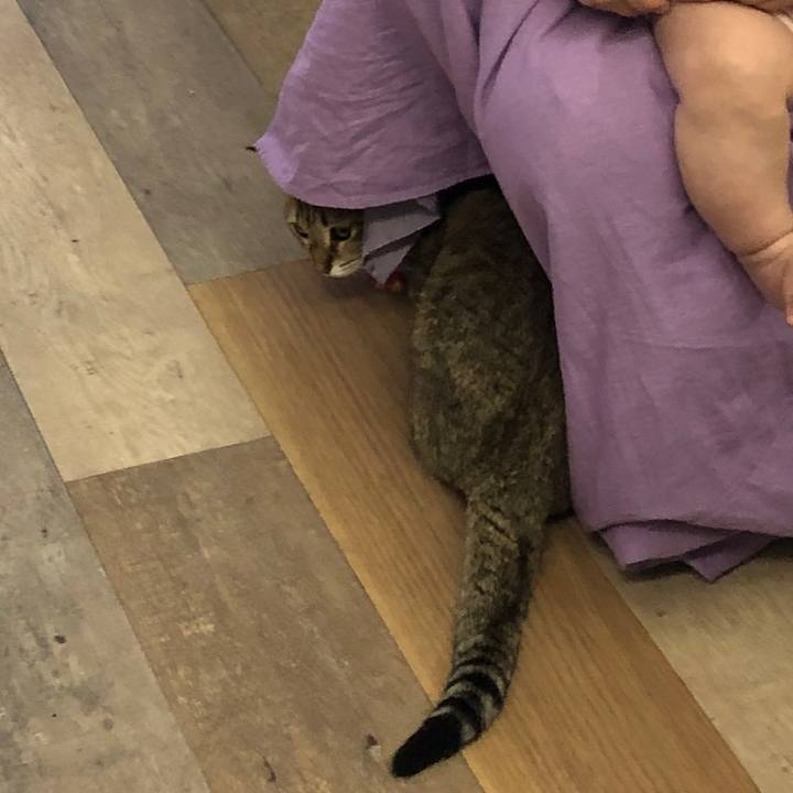 B4408492 1d38 4190 a321 00b2361b8339 1593671165156