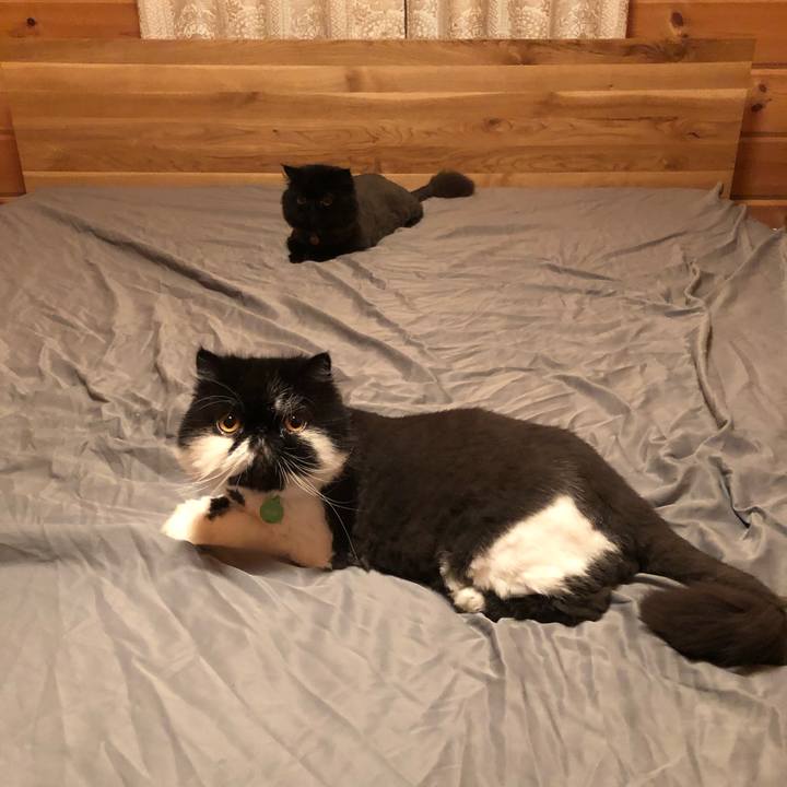 B4408bf8 6c19 4cea ab1d c0486f6d8180 1626012454944