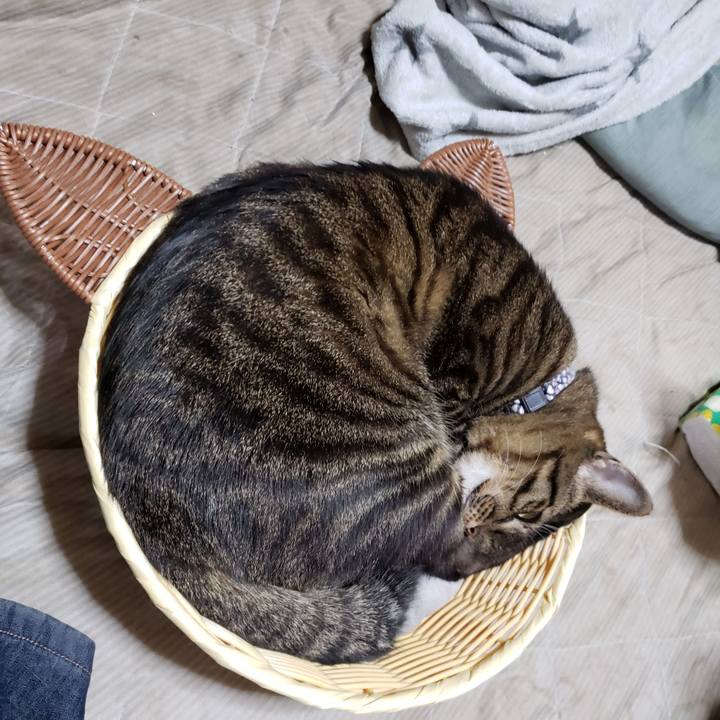 B44097ae 87b5 4bf9 857c 65f1f306f3d2 1605851643896