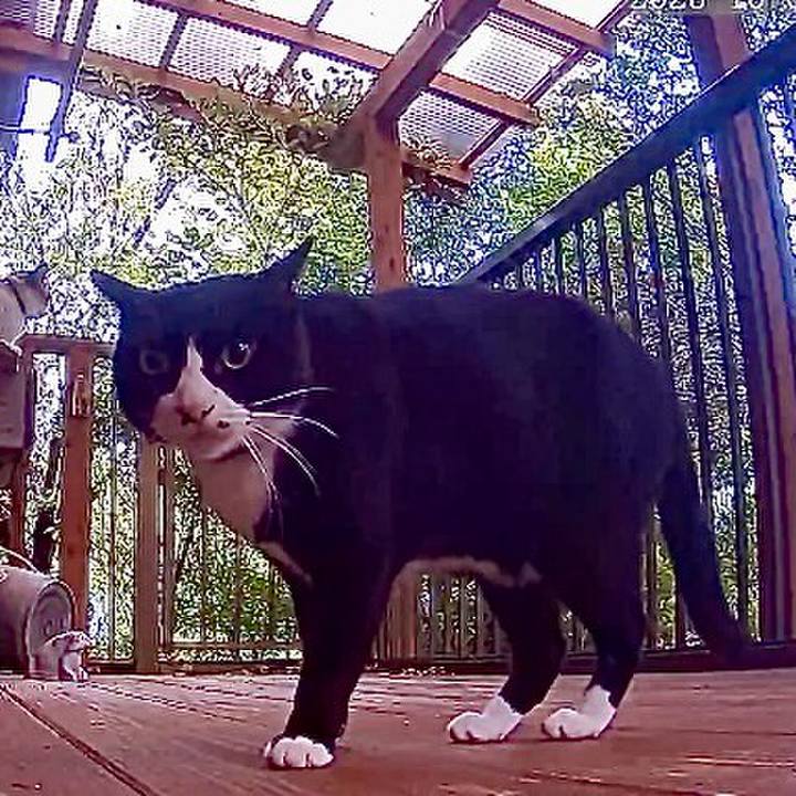 B440aeff 7842 4f23 aaf2 6b4d4abad014 1759486163302