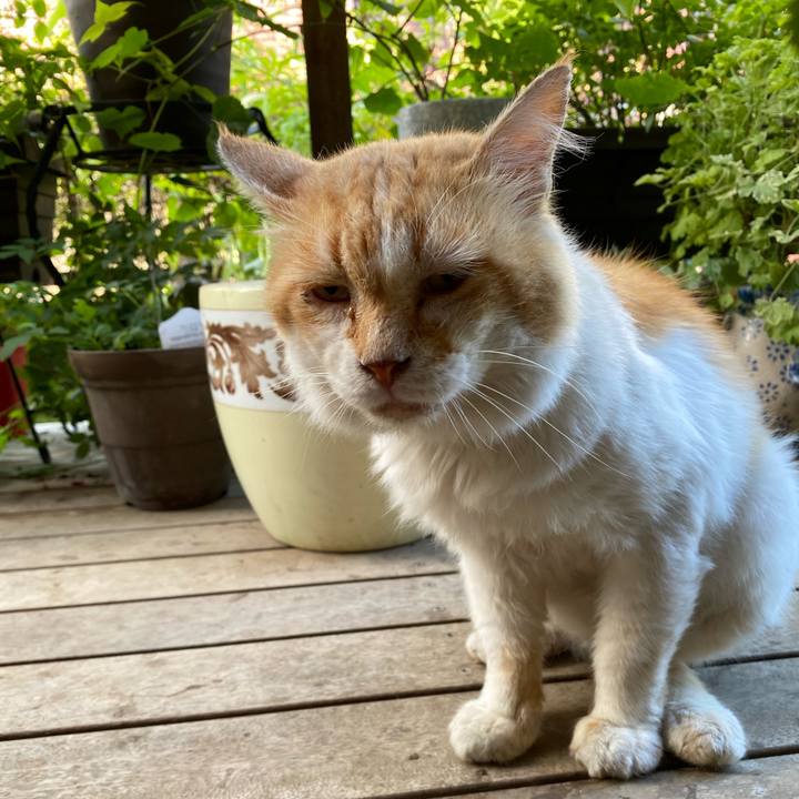 B440b784 e4b9 4173 97c7 4bc509d3e668 1721687380687