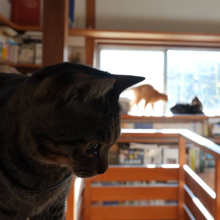 B440b84b e3e7 4d93 bc7f 3fc797dc7cac 1744414099438