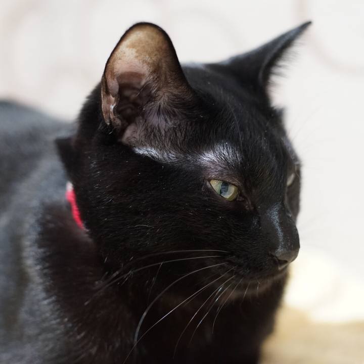 B44106bb 818e 4461 a574 8c30a6348402 1516200069020