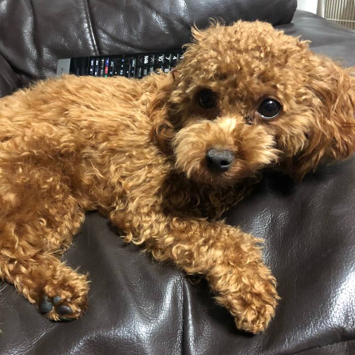 B44125f0 4d47 445f 800e d24abf529da3 1508158236046