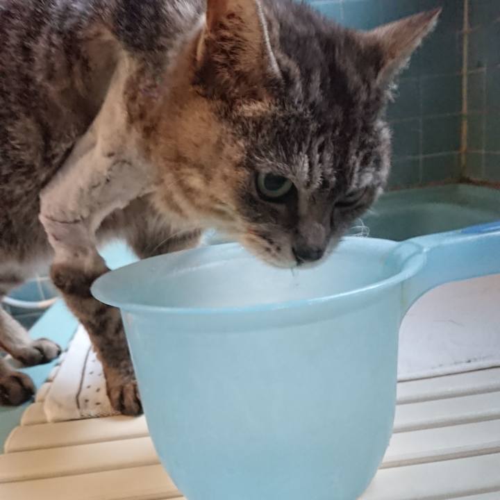 B441296d 0d42 4a53 a4c9 58bb18555d00 1587633288045