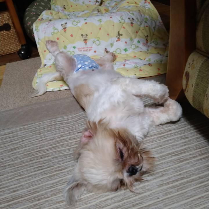 B44158b8 f9ab 4a5c b3d9 06cf40cd80ce 1598785680505