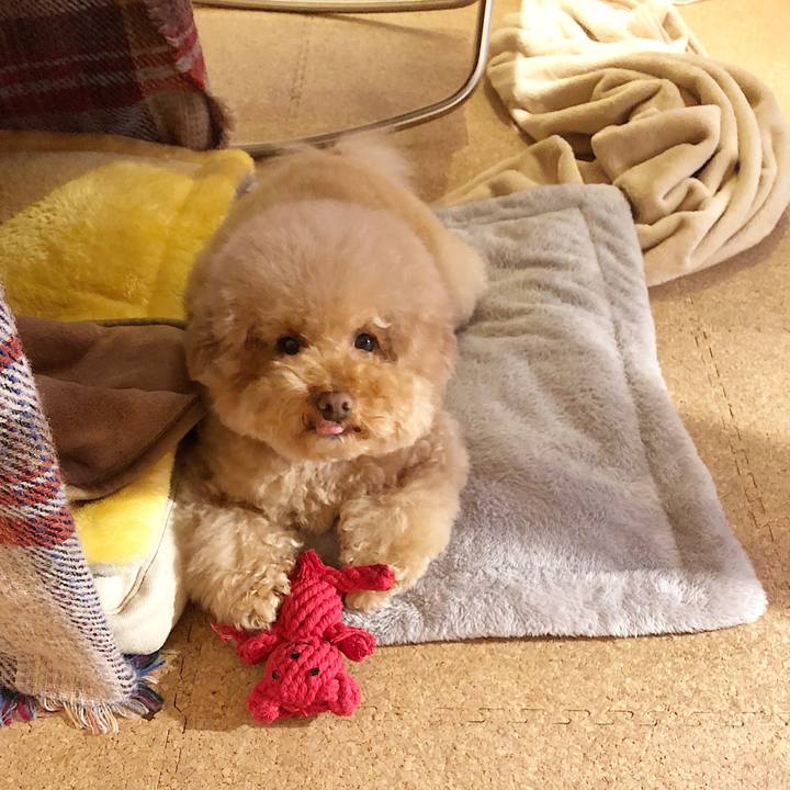 B44159c3 db98 49f8 bee0 667ba058522c 1511134670523