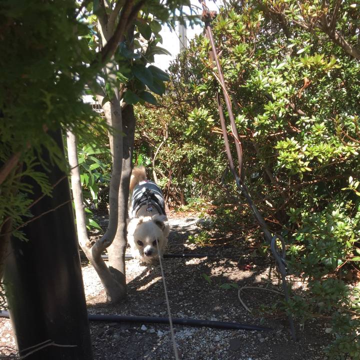 B4416878 48d9 41dc 97ba ff9bedee0a4c 1553418966158