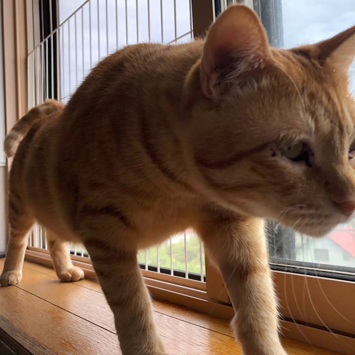 B4416fce 5b0d 454c bec9 c3996177162a 1563057549518