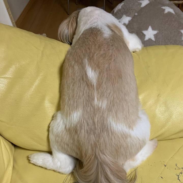 B441ae32 b6ab 4508 9b6b 230e92e0fa48 1595934386779