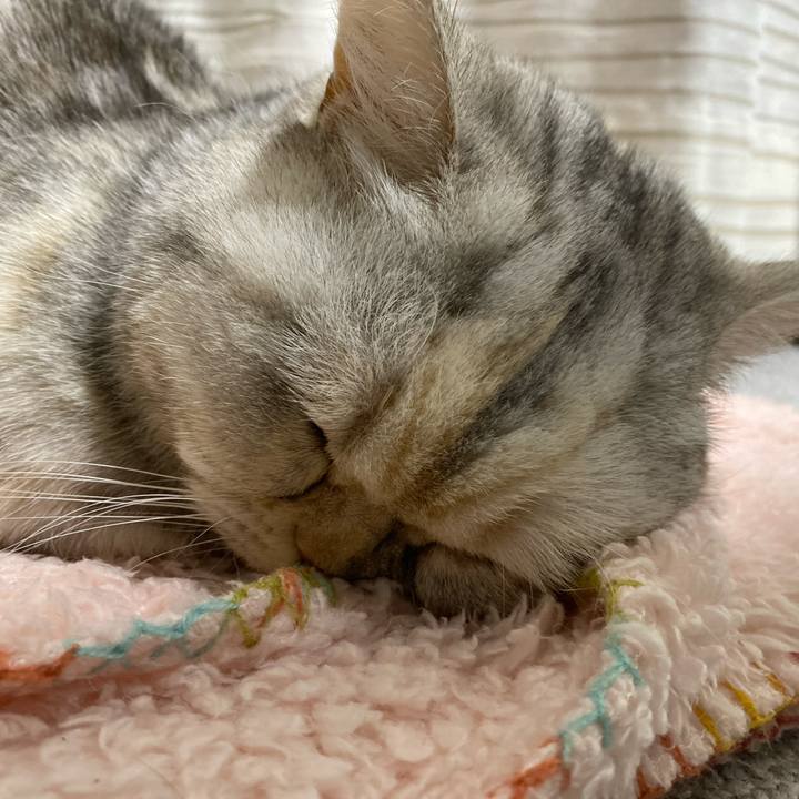 B441cab3 9210 48b2 a922 50168ea1a94f 1738752423490