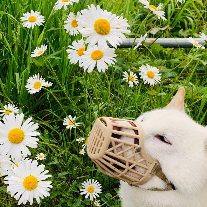 B44230f2 9552 4008 afa5 b0fdde2bdbe8 1592167049747