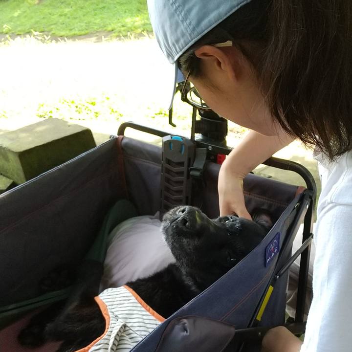 B44234f1 d877 4f19 b98a 954001382080 1721521984703