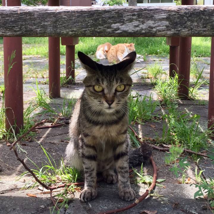 B44241eb 07c5 4a63 8861 389b6dcf5e96 1526025701061