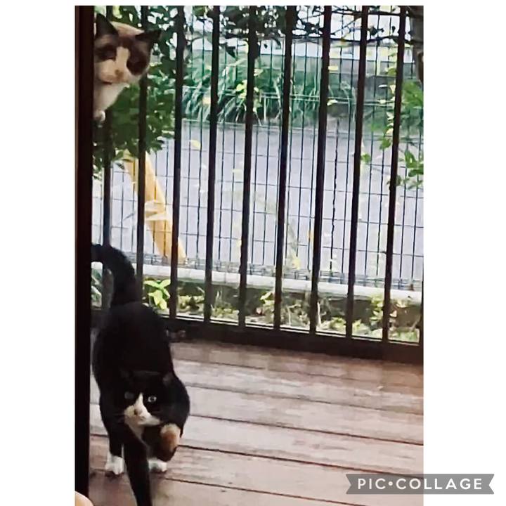 B44241f9 dd27 48c3 a10d 0c57160a910d 1733047016983