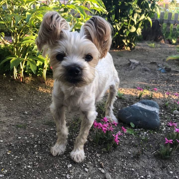 B4427c56 76a8 40ea b908 3a292979b2c2 1559555600170