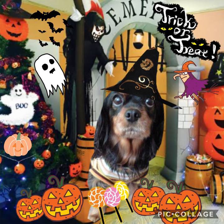 B44294a2 47fa 4795 898b 5922cb13db7e 1571886398275