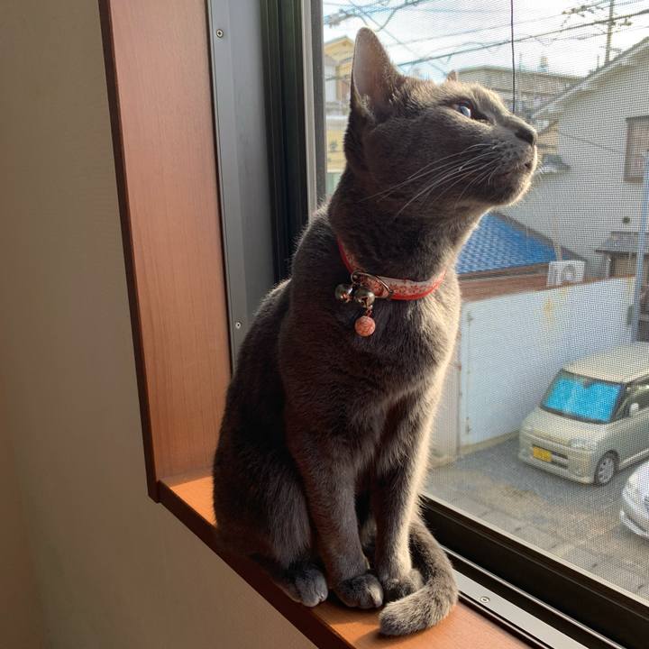 B442b3a2 1b89 430d ae12 f487a03fdf4b 1592716088719